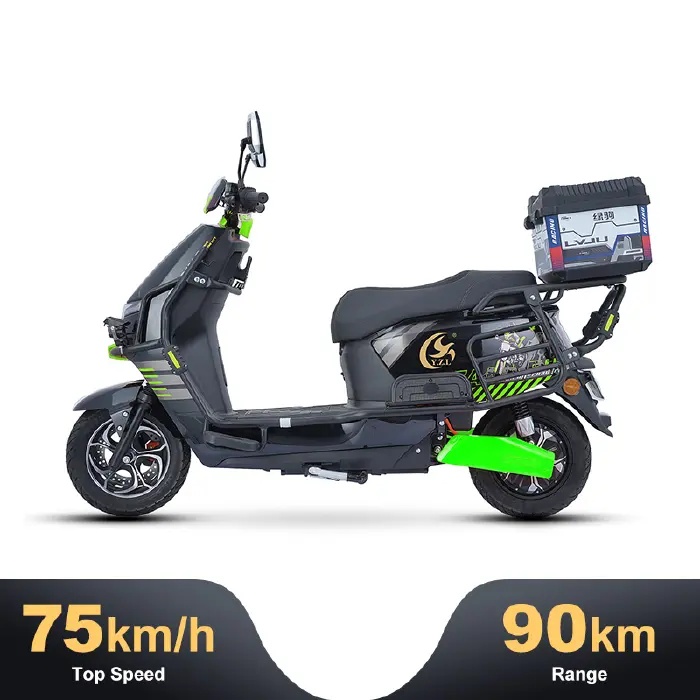 ELECTRIC MOTORCYCLES-DT-1500W