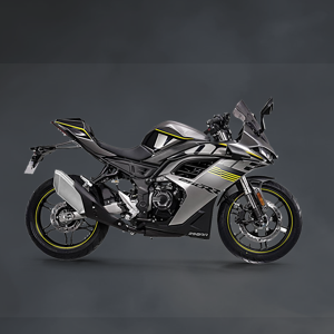 MOTORCYCLES-300RR