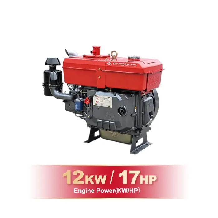 DIESEL ENGINE-CC-ZS1100PE