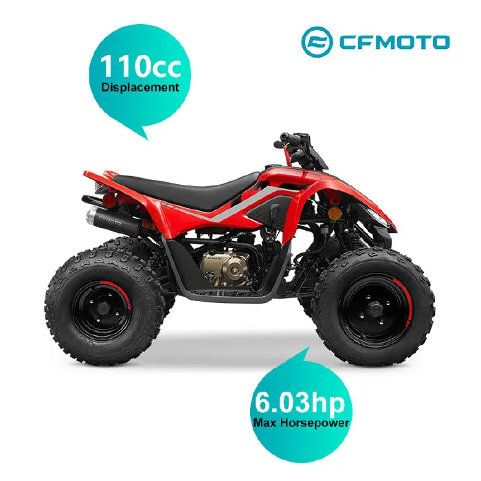 110CC All Terrain Vehicle-CF110AY10