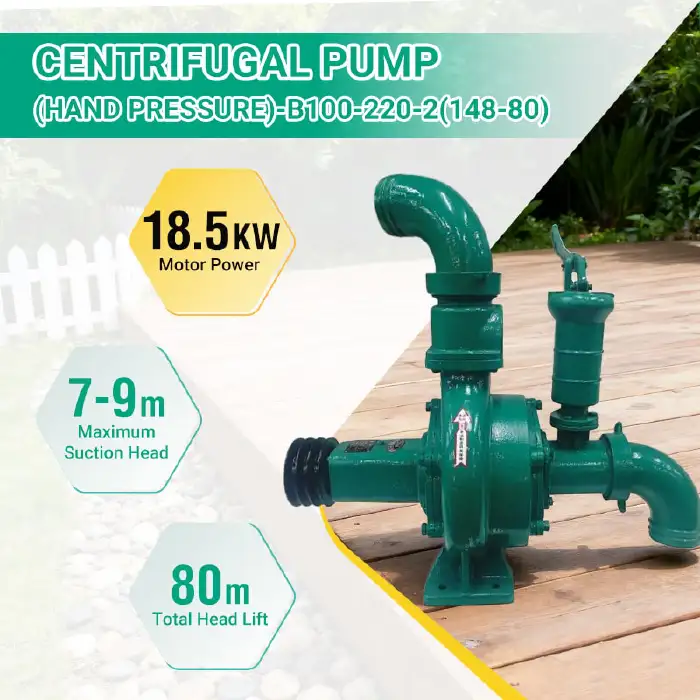 WATER PUMP-B100-220-2(148-80)