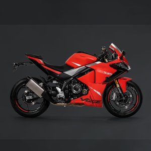 [LXM019] MOTORCYCLES-300RR