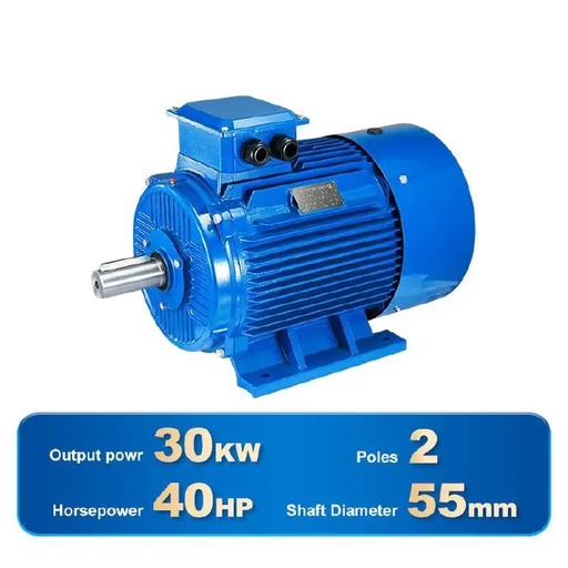 [4537] THREE PHASE INDUCTION MOTOR-Y2-200L1-2